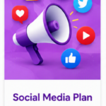social media plan